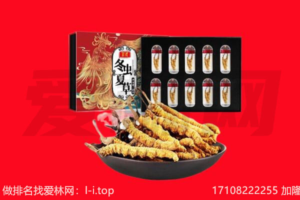 蓬安县回收虫草.jpg